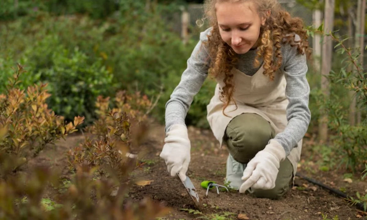 Gardening with Creekside