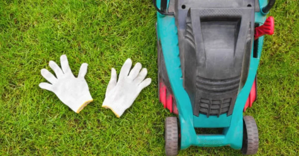 Sunday Lawn Care Reviews