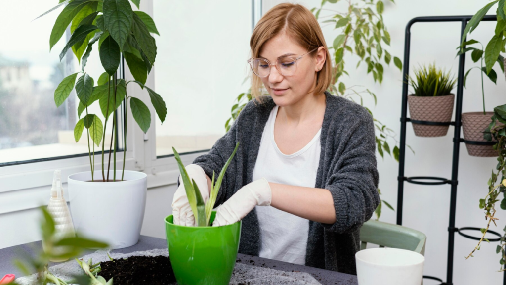 a diy guide to custom hydroponic fertilizers